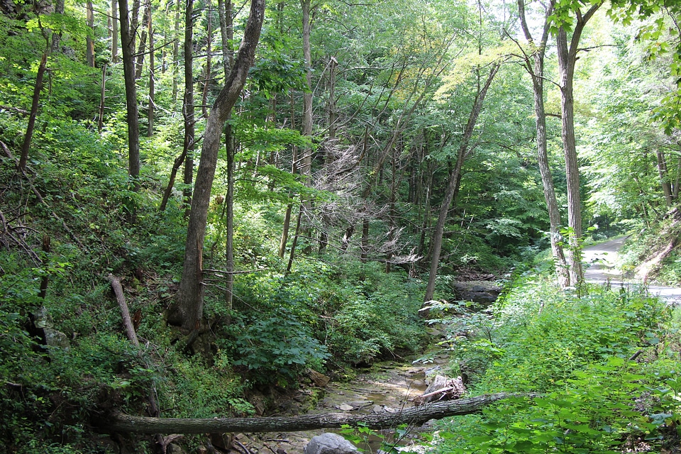Nelson Rocks West Virginia
