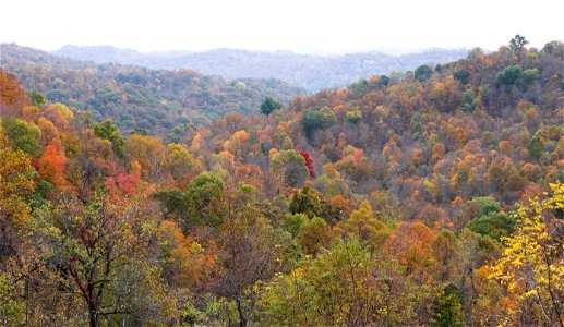 Fall Colors in the Wayne National Forest photo