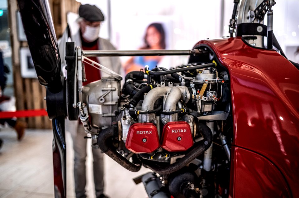 Rotax engine (Color)