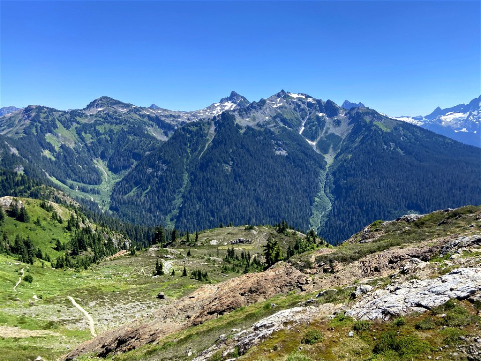 Yellow Aster Butte in WA