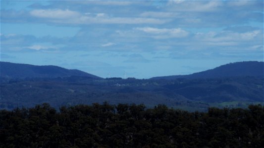 Hamptons from Victoria