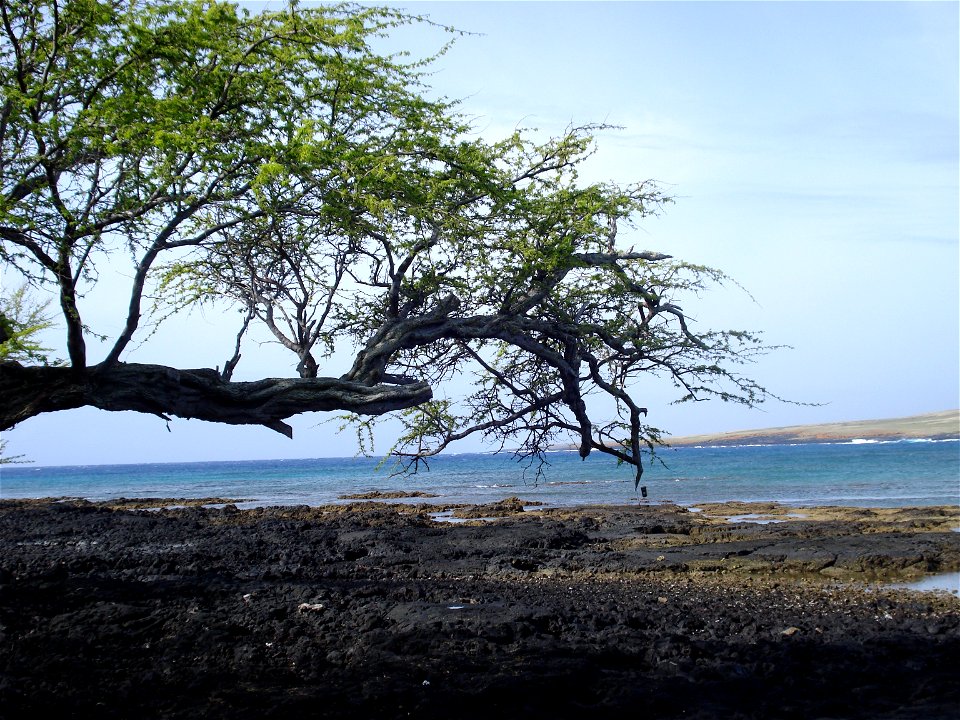 Ka'alu'alu Bay