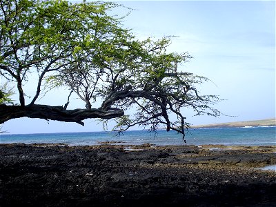 Ka'alu'alu Bay photo