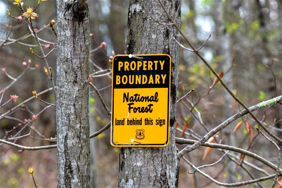 National Forest Property Boundary Marker photo