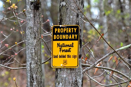 National Forest Property Boundary Marker photo