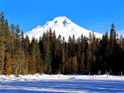 Trillium Lake at Mt. Hood in OR photo