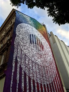 Calle Libre 2021 - Update (Said Dokins)