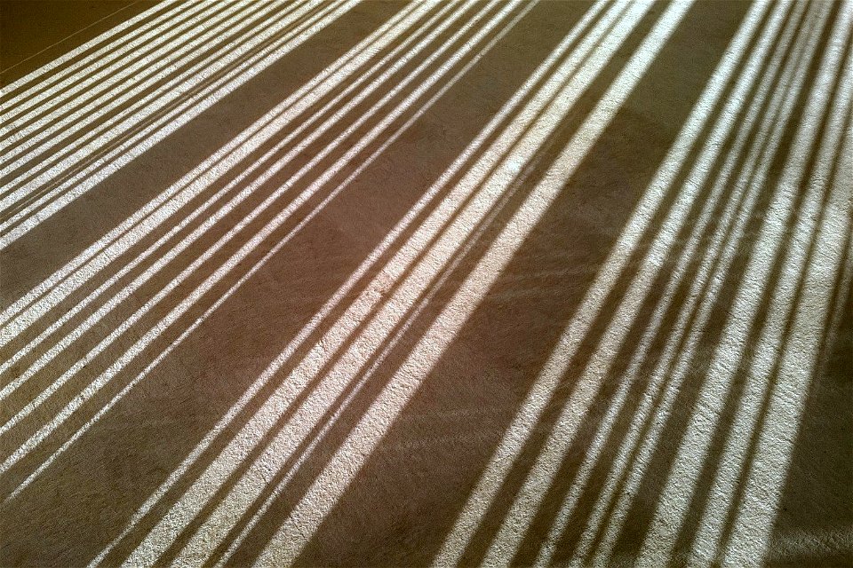 Project 365 #62: 030315 Barcodes