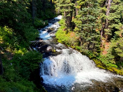 Fall Creek in OR