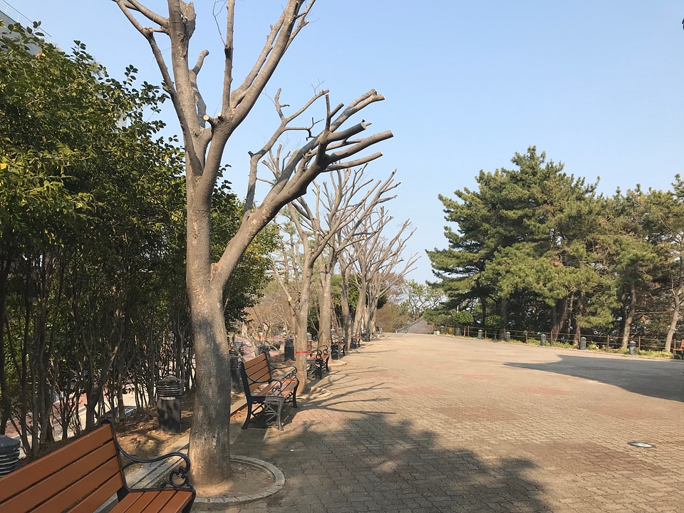 Haeundae Dalmajigil Busan, South Korea