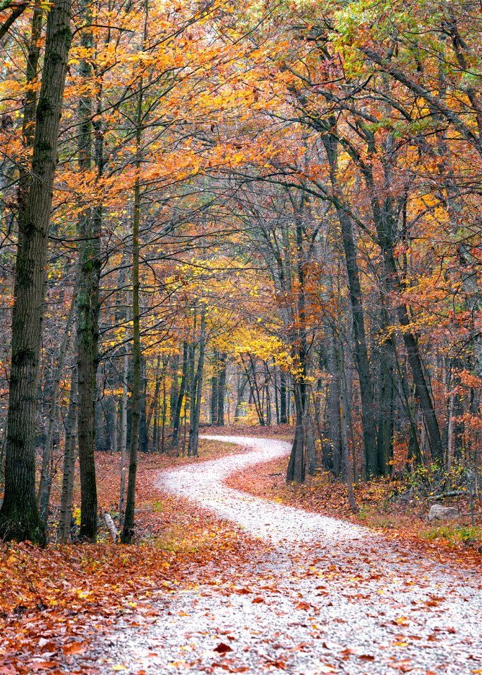 National Forest System Road 758
