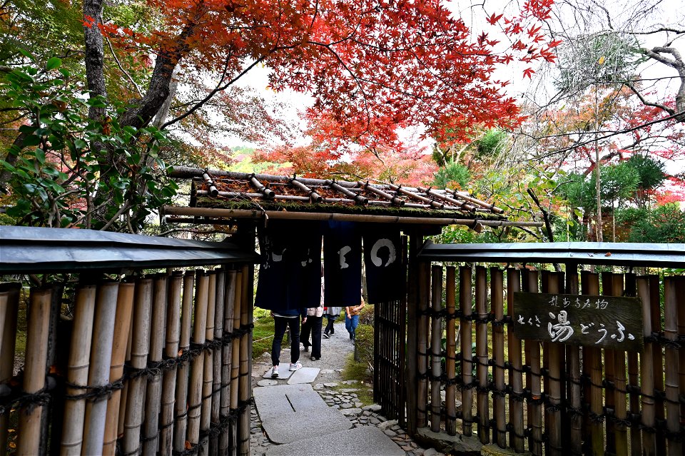 京都龍安寺/Kyoto Ryoanji