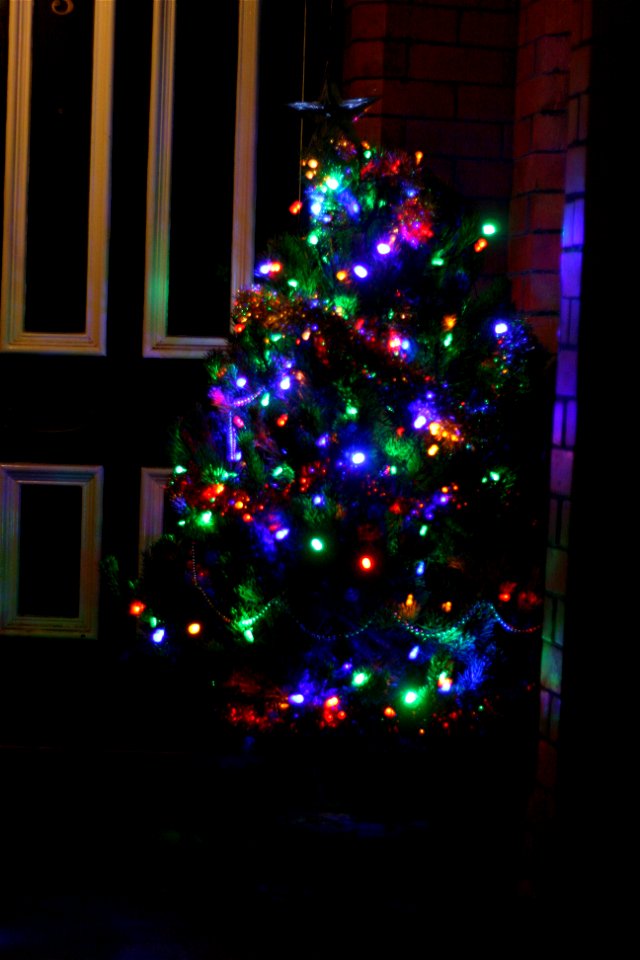 Project 365 #350: 161210 Our Latest Arrival