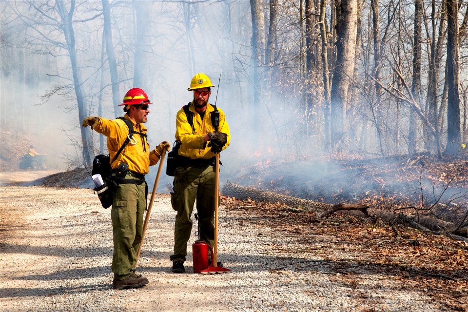 Firefighters in a Prescribed Burn