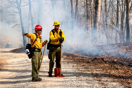 Firefighters in a Prescribed Burn photo