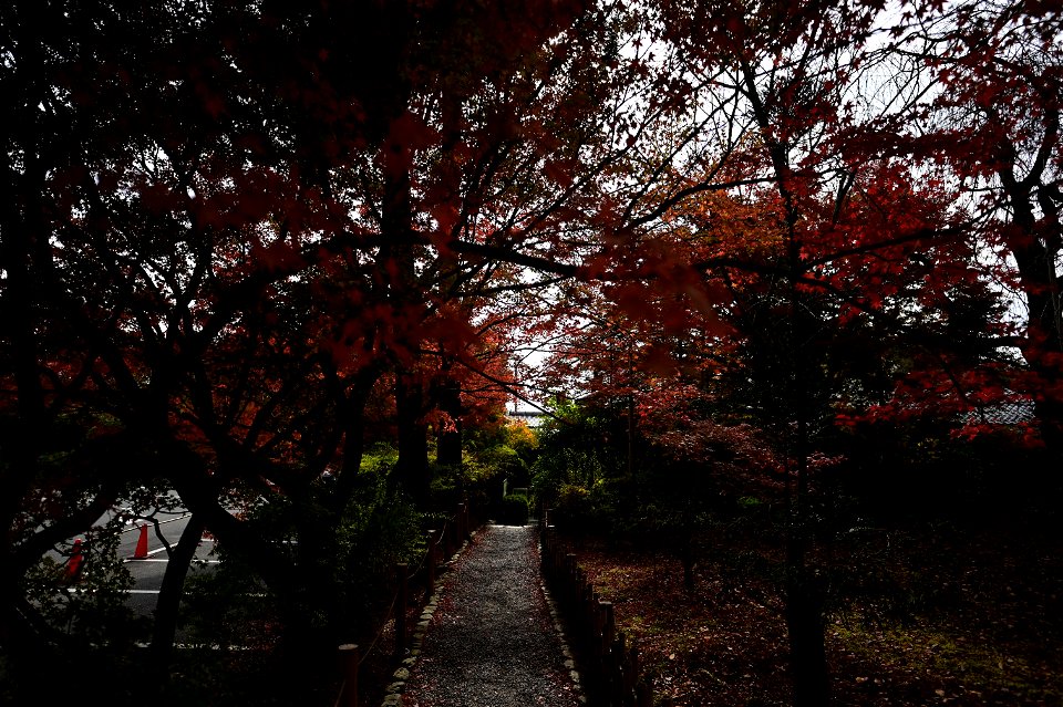 京都龍安寺/Kyoto Ryoanji