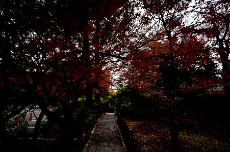 京都龍安寺/Kyoto Ryoanji