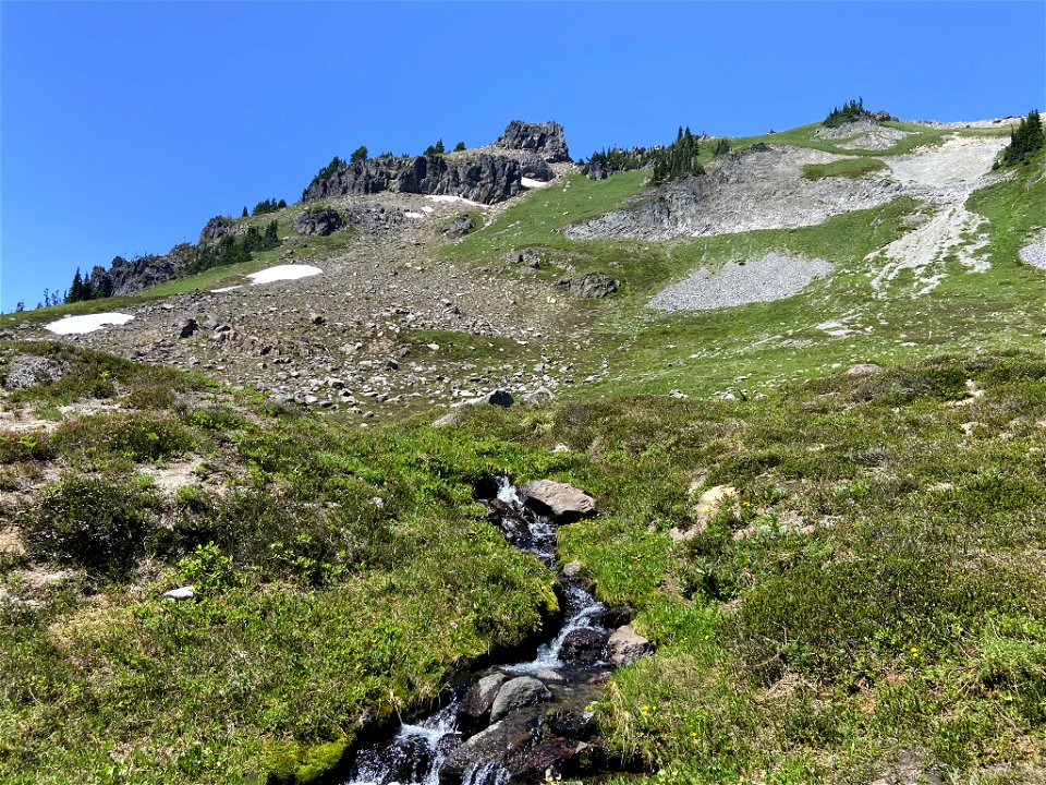 Goat Rocks Wilderness in WA