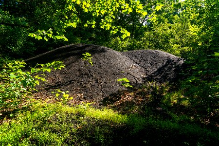 Gob Pile at Tecumseh Lake Picnic Area photo