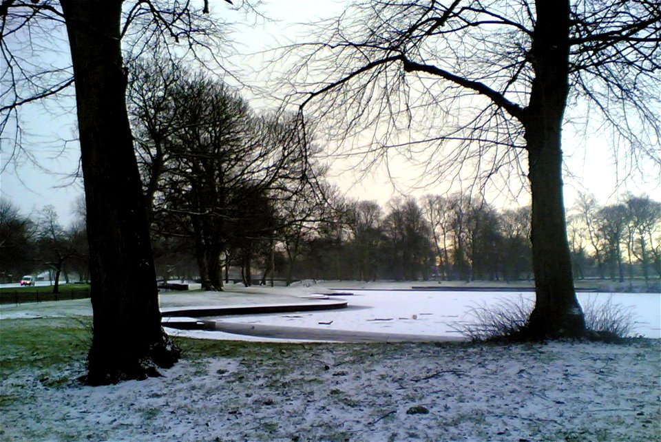 Project 365 #356: 221209 Feeling All White