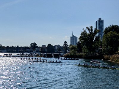 Alte Donau