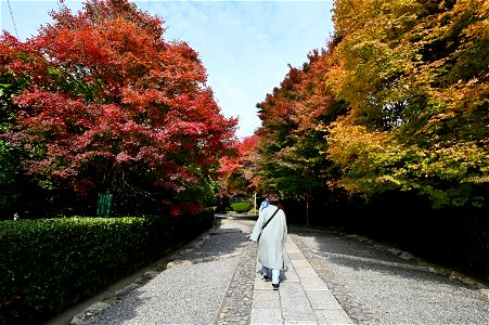 京都龍安寺/Kyoto Ryoanji