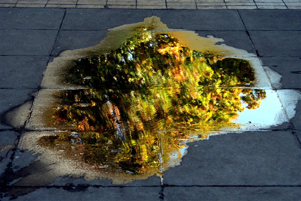 Project 365 #293: 201010 Autumnal Reflections