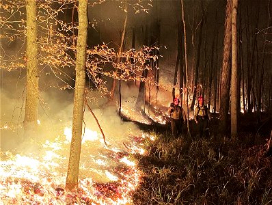 Kimble Complex Fire