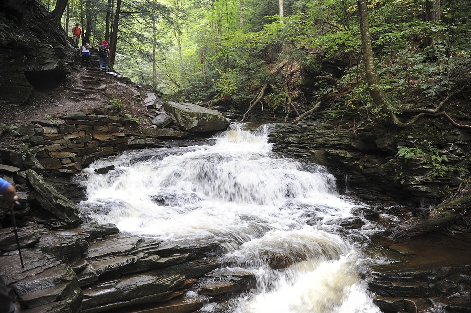 Ricketts Glen State Park