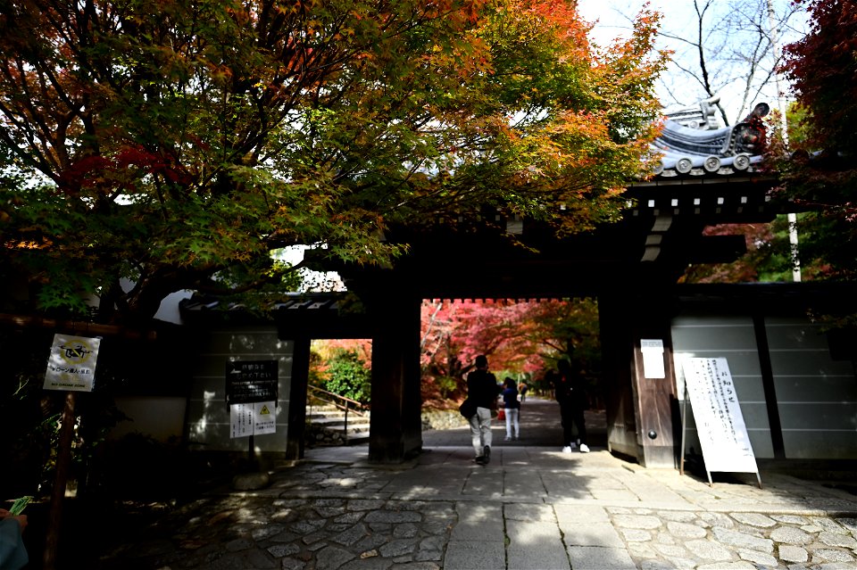 京都龍安寺/Kyoto Ryoanji