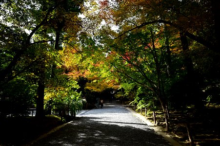 京都龍安寺/Kyoto Ryoanji