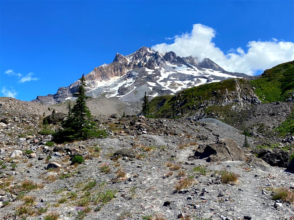 Paradise Park at Mt. Hood in OR