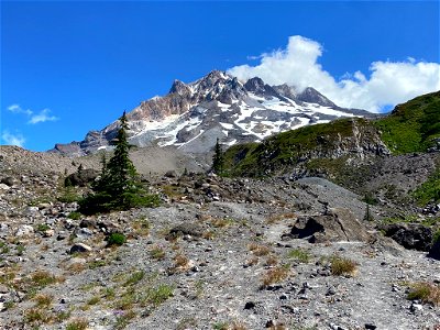 Paradise Park at Mt. Hood in OR photo