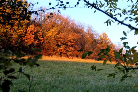 Herbst