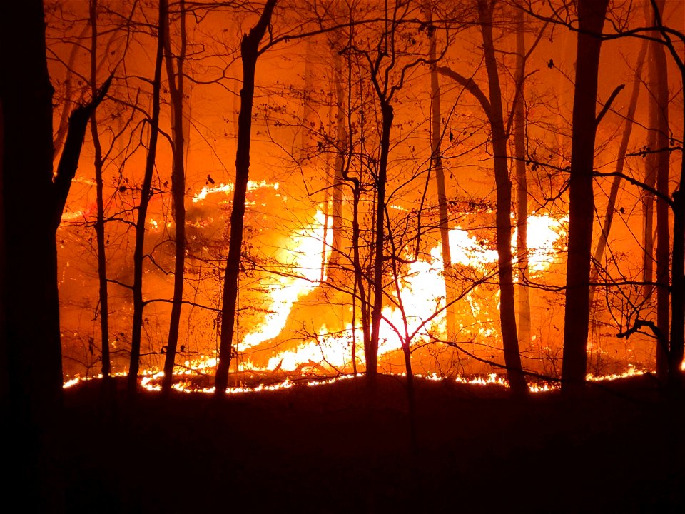 Kimble Complex Fire