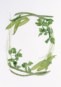 The frame made of vegetables