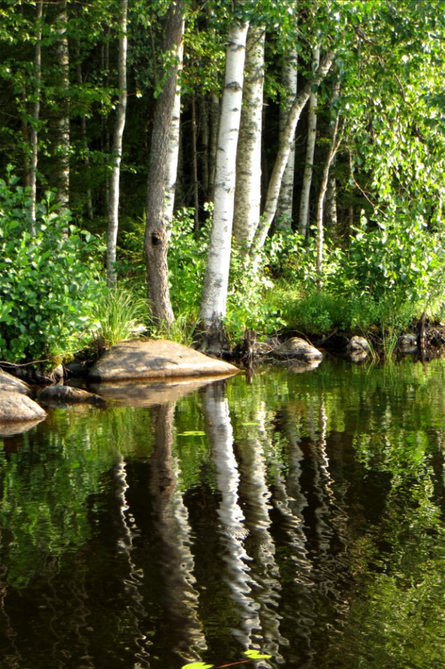 A Very Finnish View