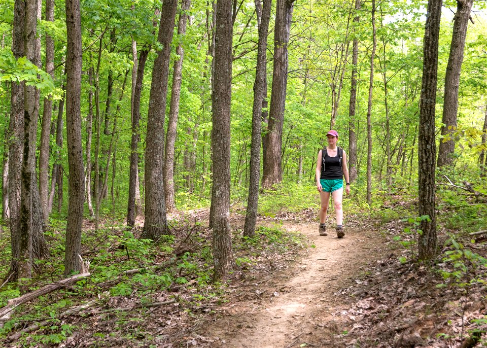 Hiking in the Baileys Trail System