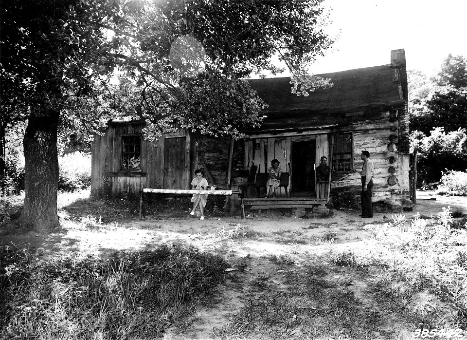 Appalachian Homestead