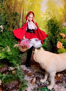 Not Today Mr. Big Bad Wolf!
