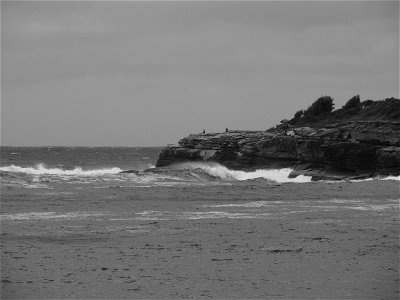 Coogee Seaside XIII