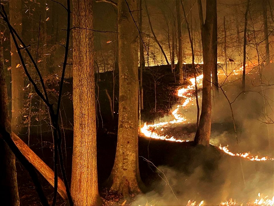 Kimble Complex Fire