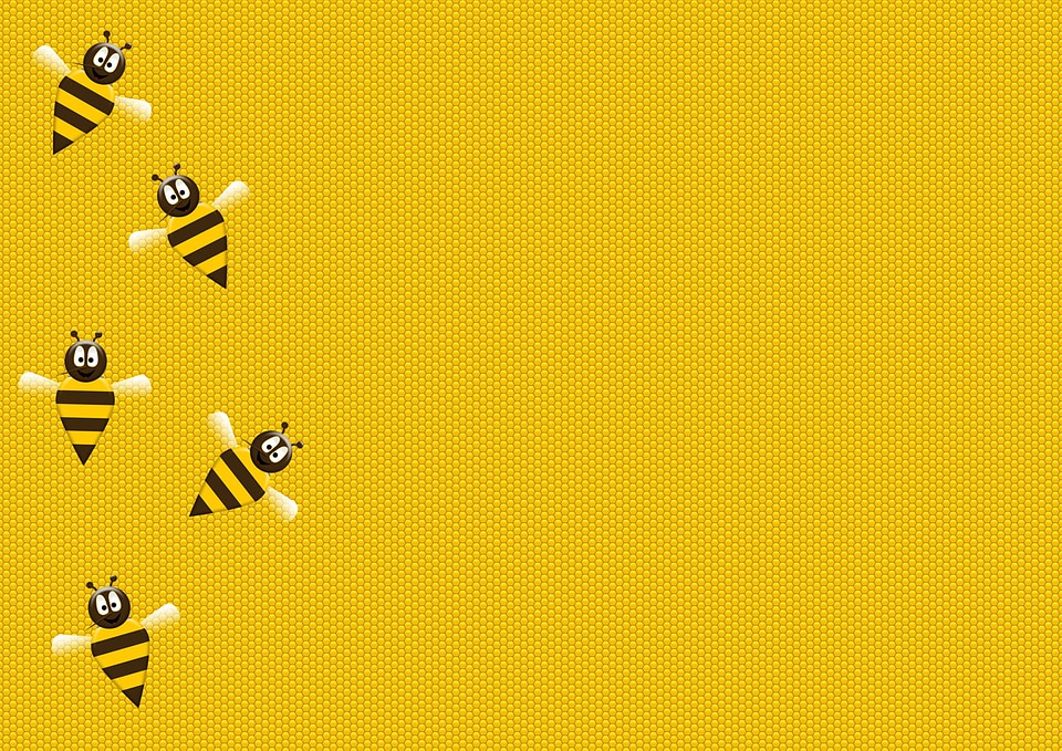 Picture of bees on honeycomb
