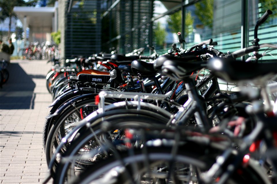 Project 365 #228: 160810 Pedal Powered