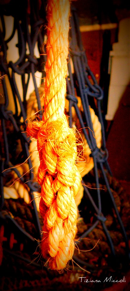 Corda intrecciata-casa dei pirati