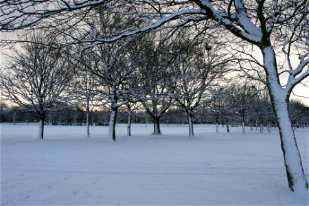 Snowy Newsham Park 5 photo