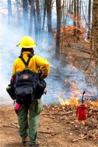 A Fire Effects Monitor Examines a Prescribed Fire photo