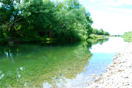 Local swimming hole