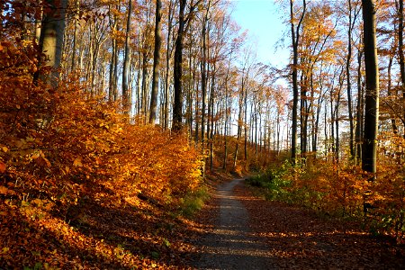 Herbst