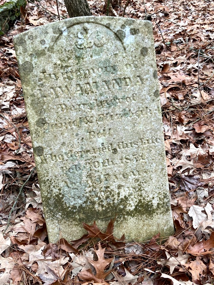 Tombstone at Blackwater NWR photo